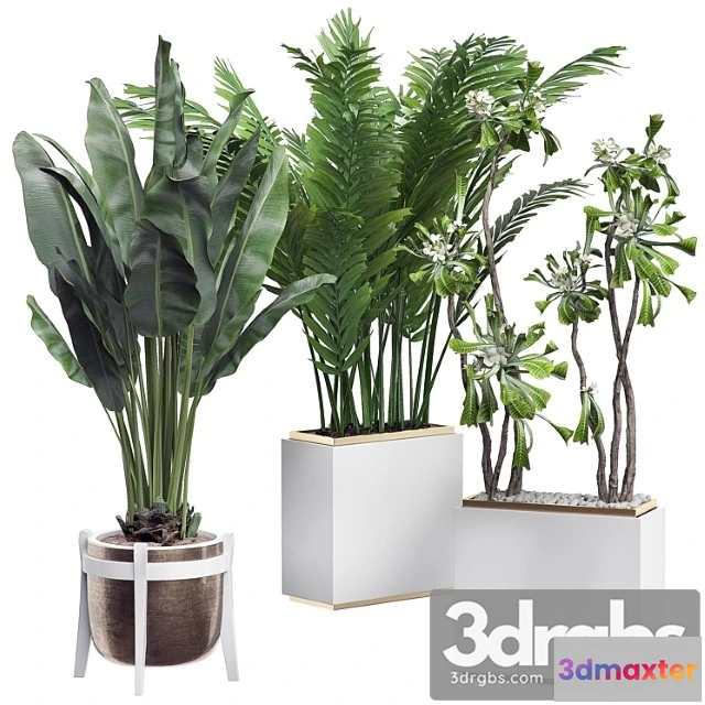 1062284 - Interior flower pack 14 - zonning v. 2