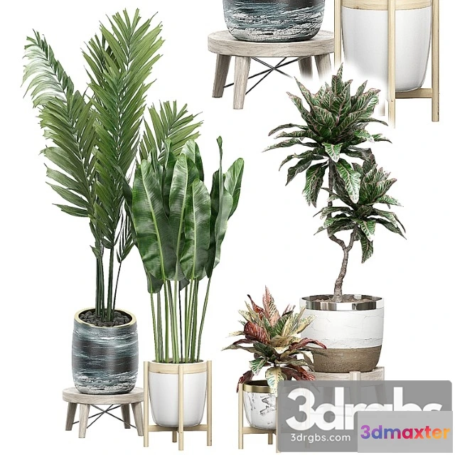 1062290 - Interior flower pack 42