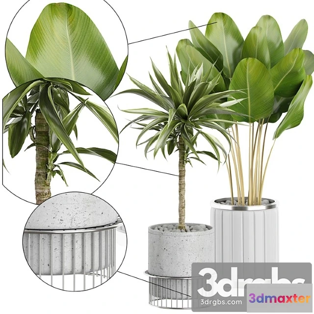 1062292 - Interior flower pack 62