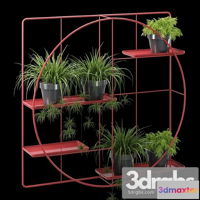 1062320 - Kwietnik three