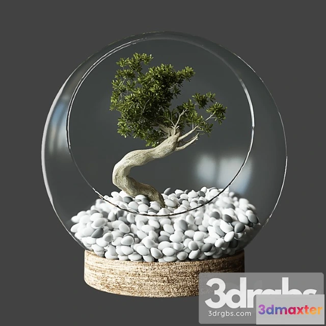 1062328 - Little tree in glass globe