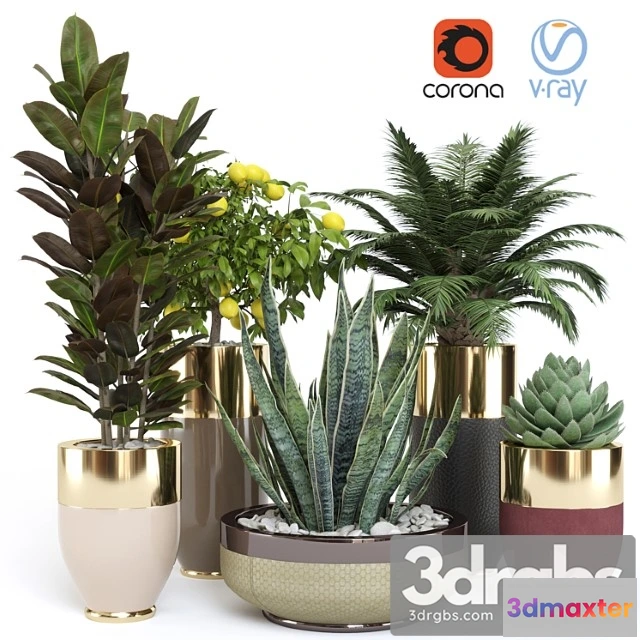 1062330 - Longhi plant pot godwin cachepot