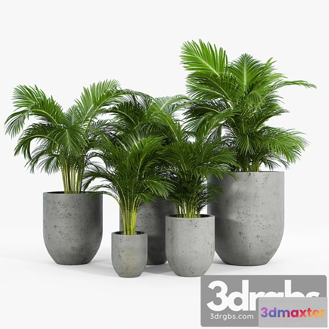 1062358 - Neo planter