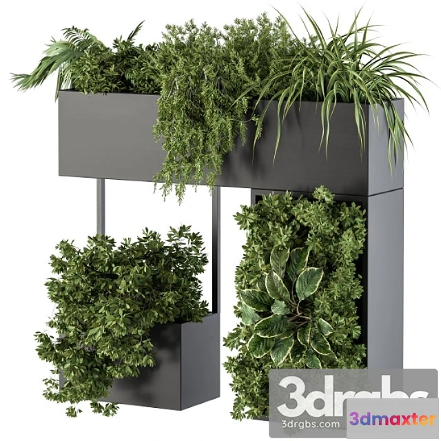 1062424 - Plant box on wall - indoor plants 300