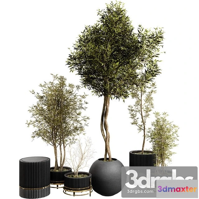 1062532 - Plant collection set 03