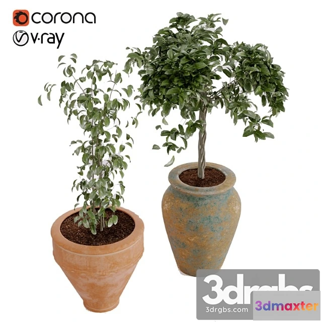 1062536 - Plant collection vol. 02 boho style in pottery rustic