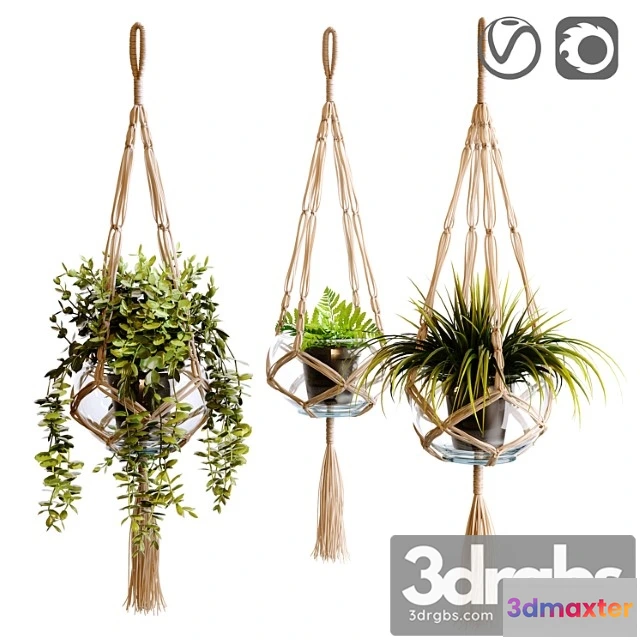 1062542 - Plant holder, macramate