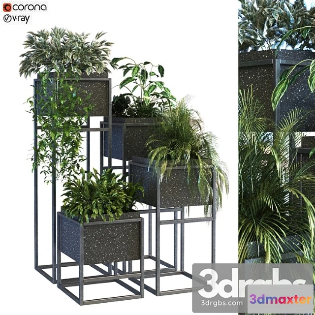 1062546 - Plant in box set 067