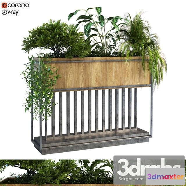 1062548 - Plant in box set 069