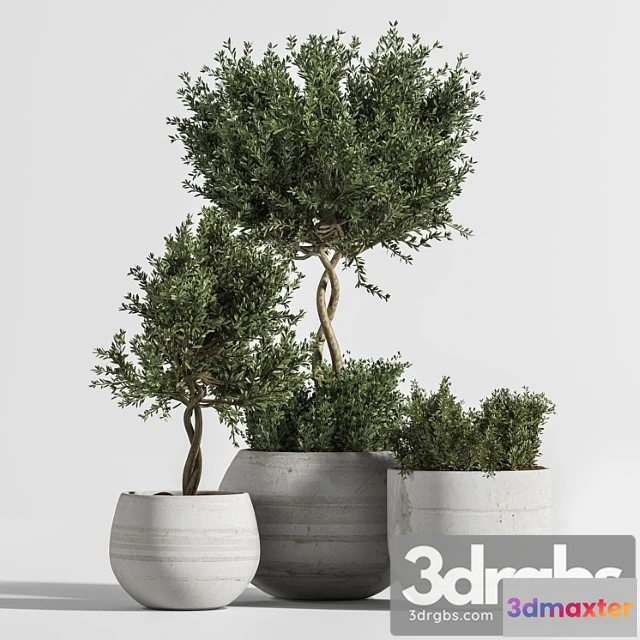 1062558 - Plant indoor with concrete leaf