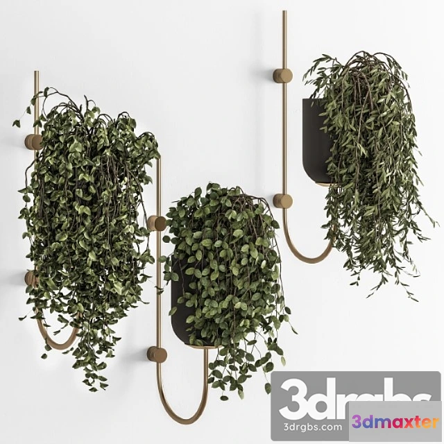 1062564 - Plant pot on wall - indoor plants 280