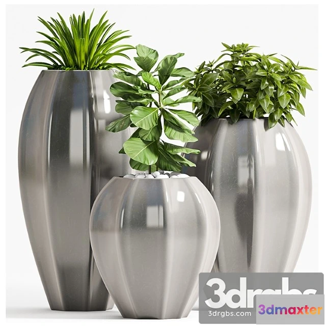 1062568 - Plant set - 70