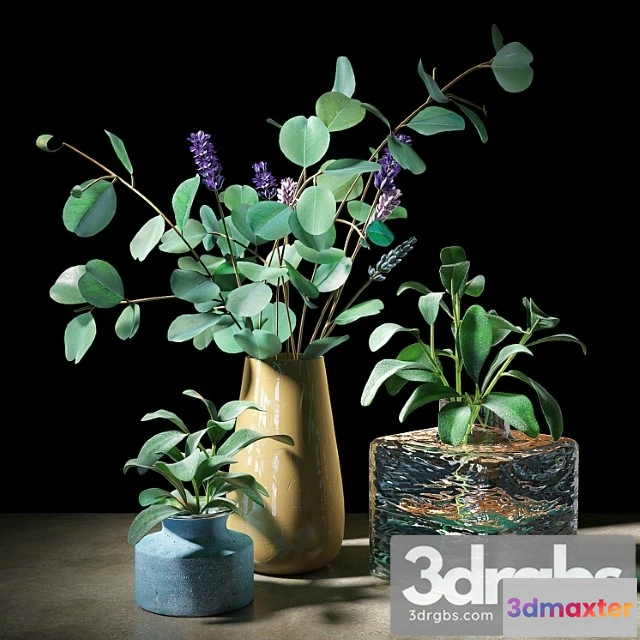 1062574 - Plant set 05