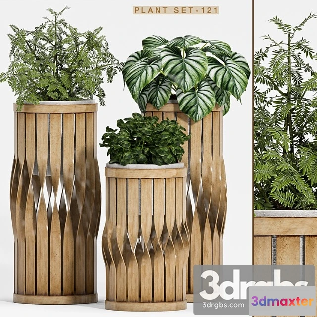 1062592 - Plant set-121