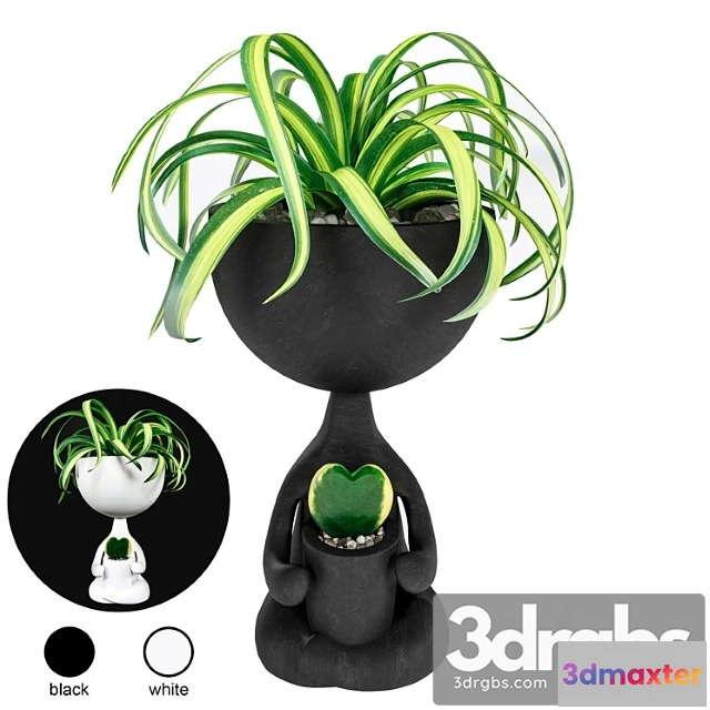 1062598 - Planter for flowers kelly flowers girl