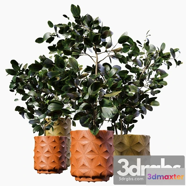 1062604 - Plant-pot06