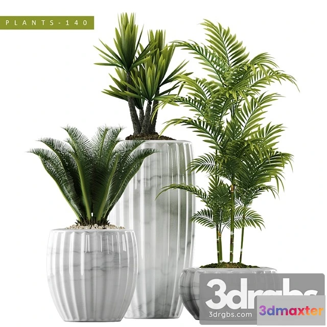 1062622 - Plants 140