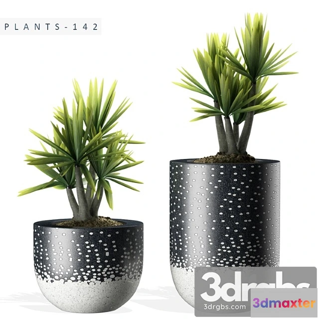 1062624 - Plants 142