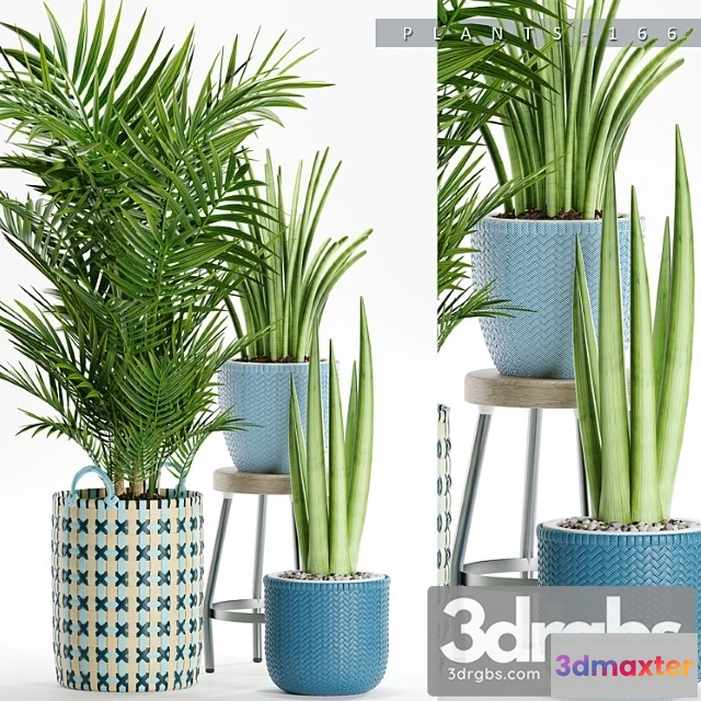 1062636 - Plants 166