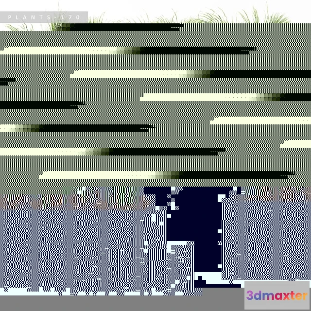 1062640 - Plants 170