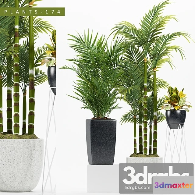 1062646 - Plants 174