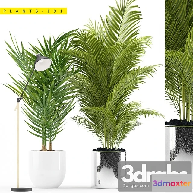 1062656 - Plants 191