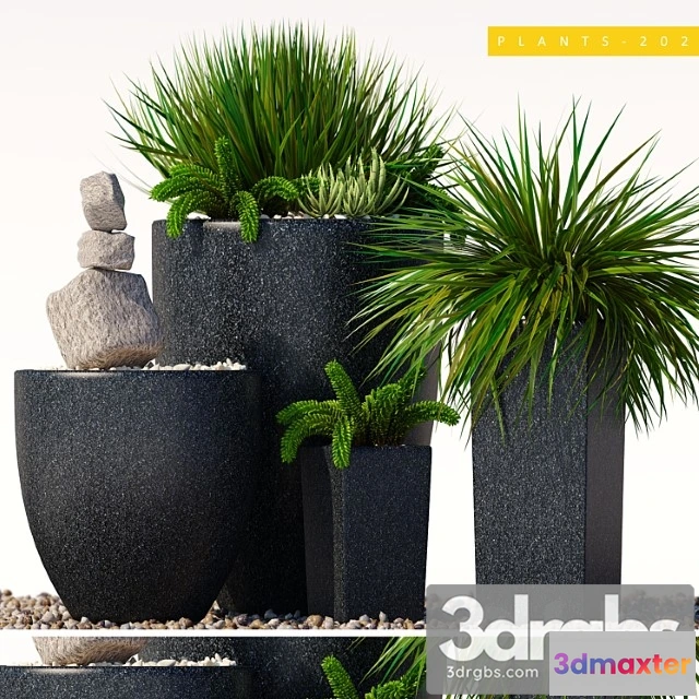 1062662 - Plants 202