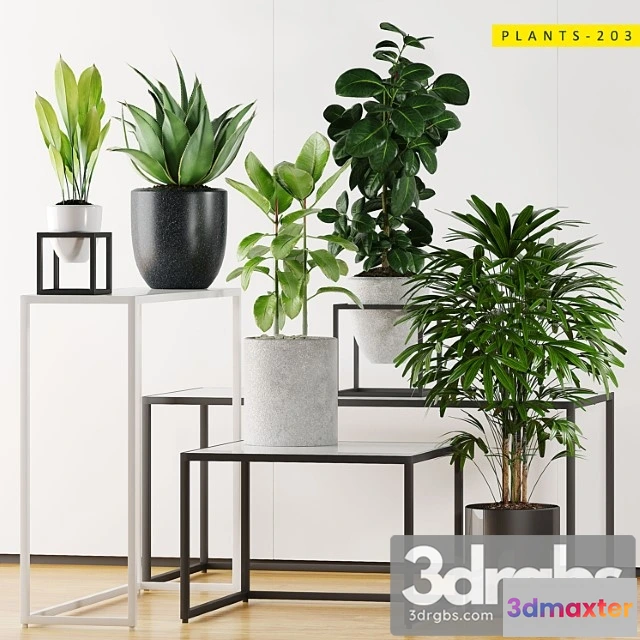 1062664 - Plants 203