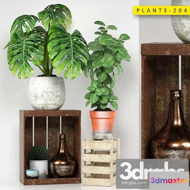 1062666 - Plants 204