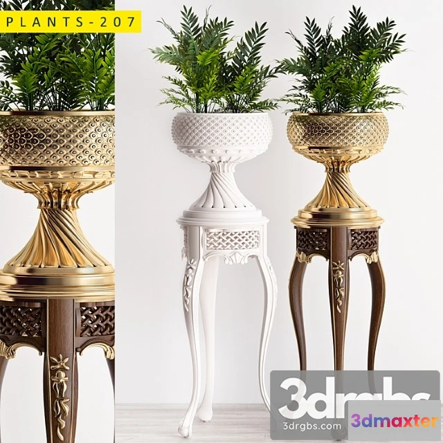 1062670 - Plants 207