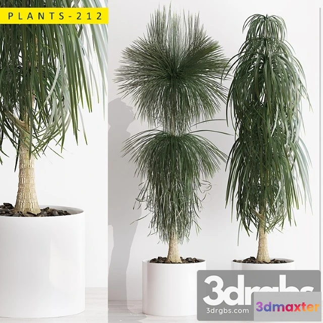 1062674 - Plants 212