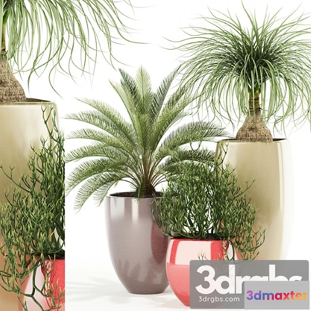 1062722 - Plants collection 101 awesomeplanters