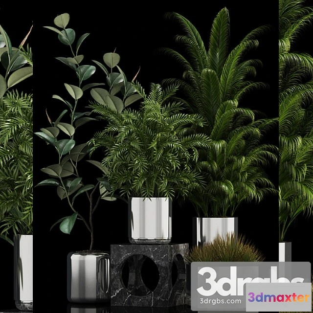 1062728 - Plants collection 106