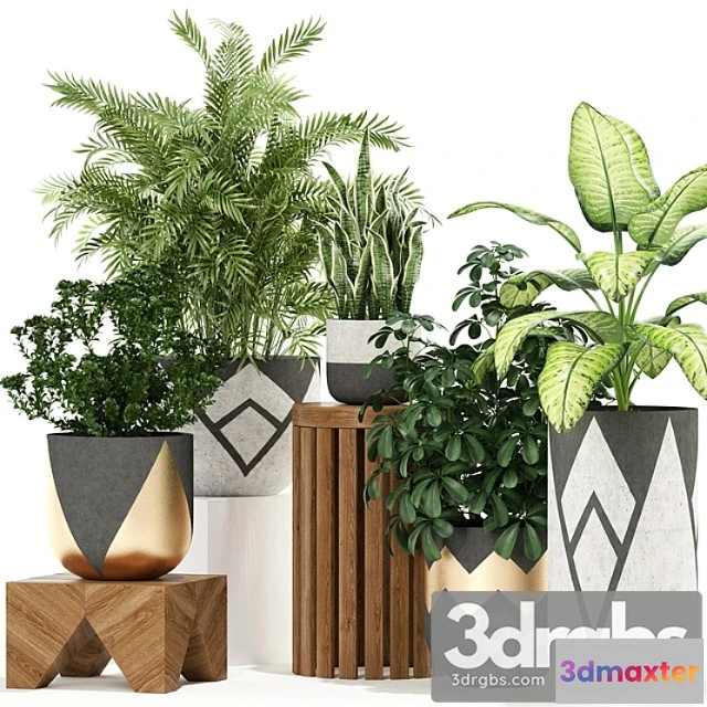 1062730 - Plants collection 109