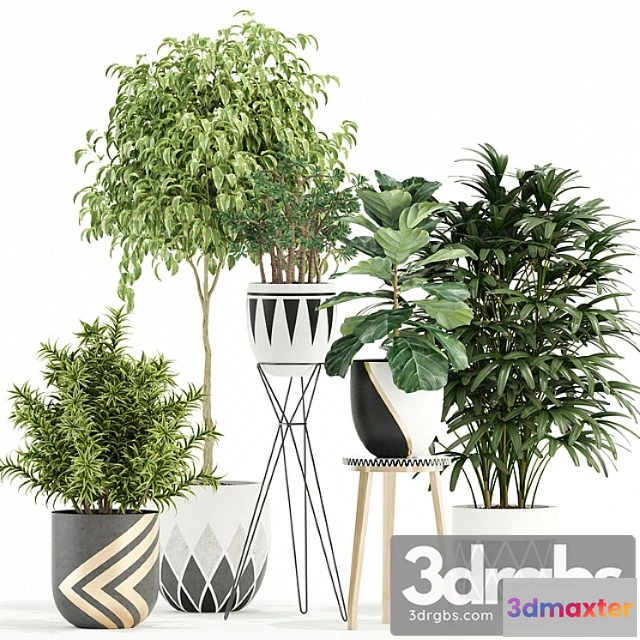 1062734 - Plants collection 112