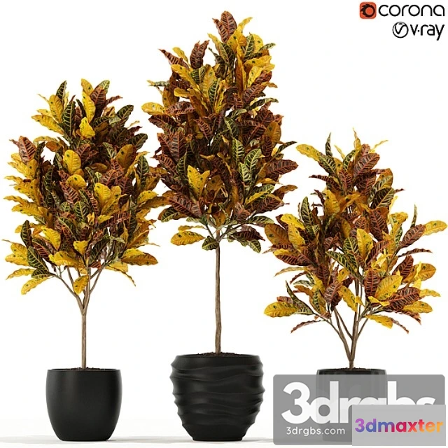 1062746 - Plants collection 120