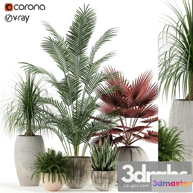 1062750 - Plants collection 122