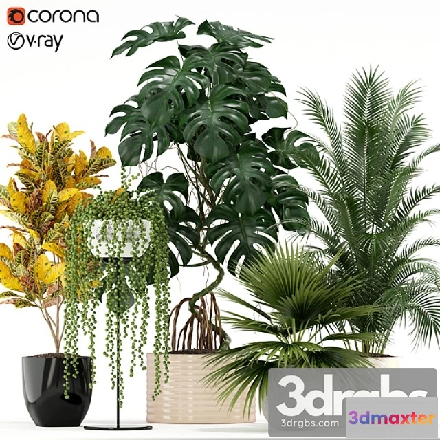 1062754 - Plants collection 124