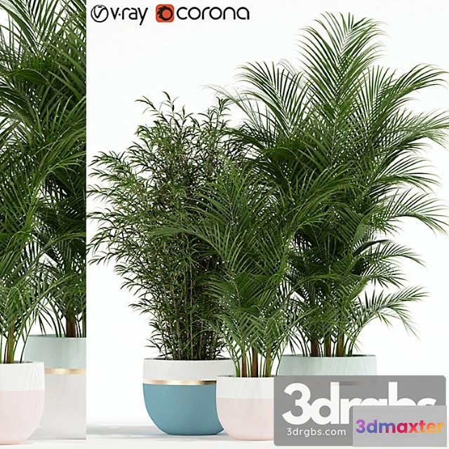 1062760 - Plants collection 136