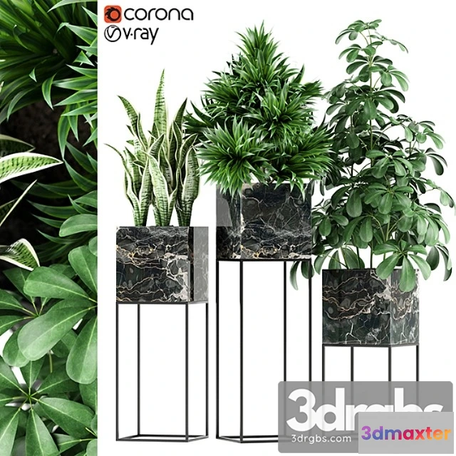 1062770 - Plants collection 144 maia