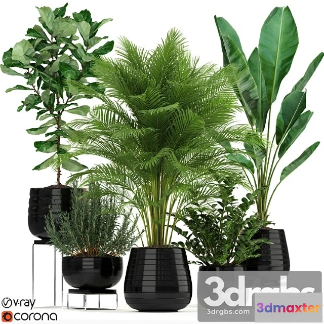 1062788 - Plants collection 180