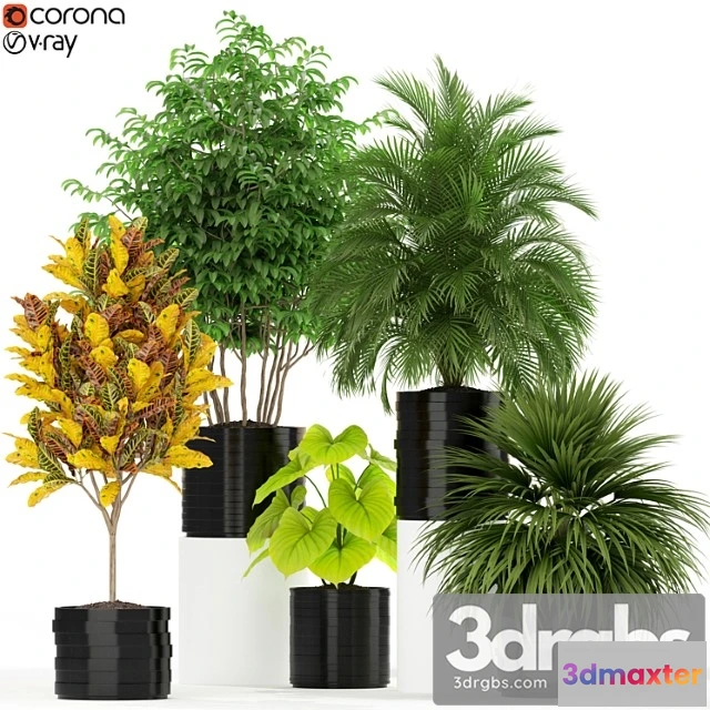 1062792 - Plants collection 183