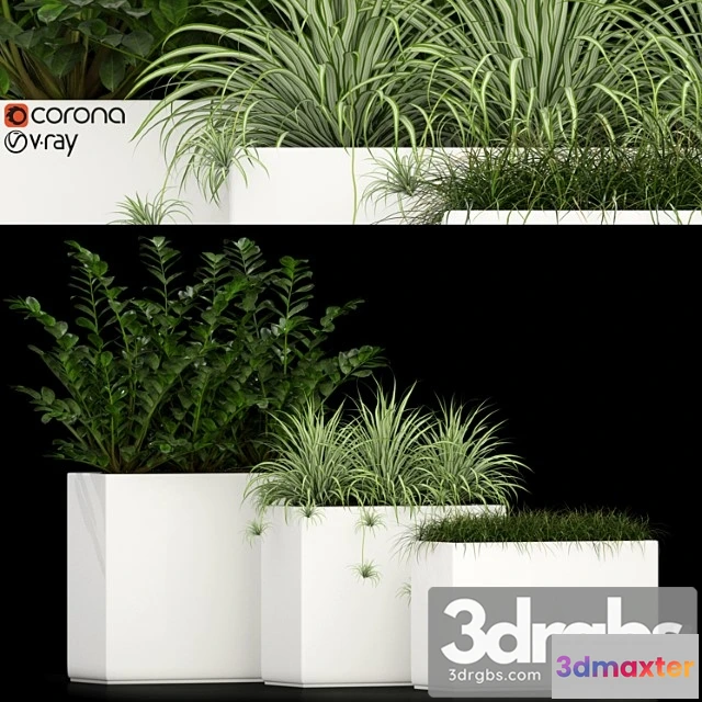 1062794 - Plants collection 186