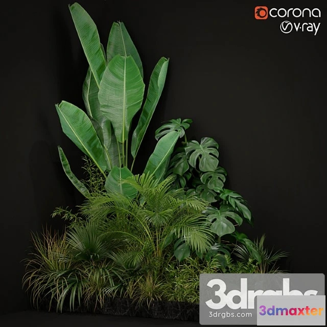 1062798 - Plants collection 196 - No.2