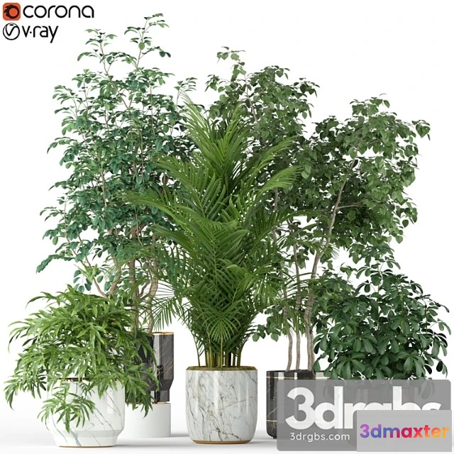 1062804 - Plants collection 204