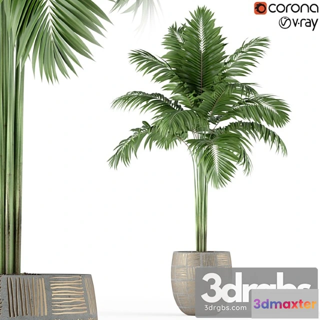 1062810 - Plants collection 220