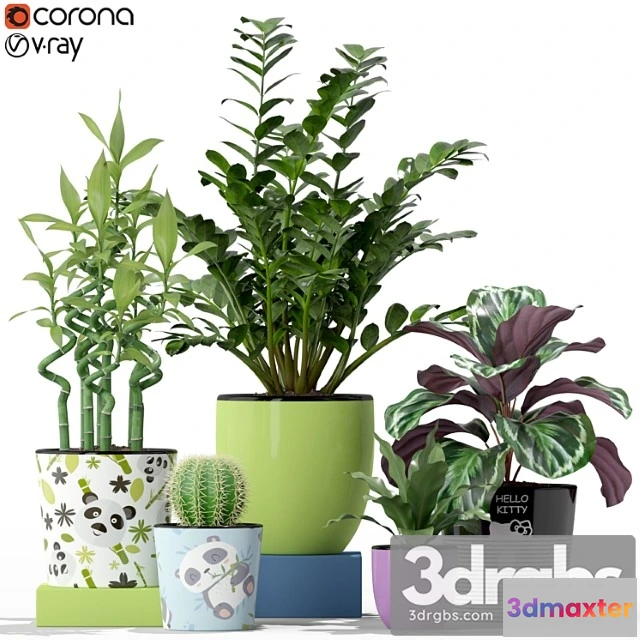 1062814 - Plants collection 231