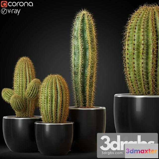 1062828 - Plants collection 258