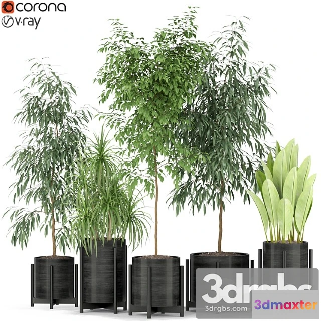 1062836 - Plants collection 345