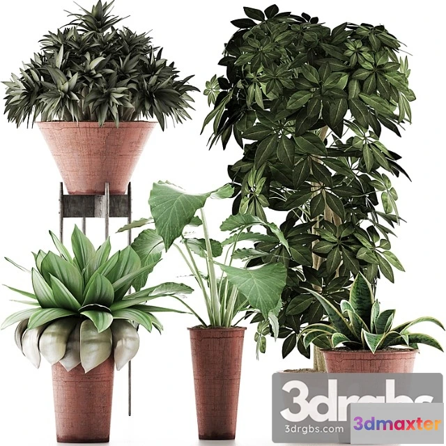 1062838 - Plants collection 35